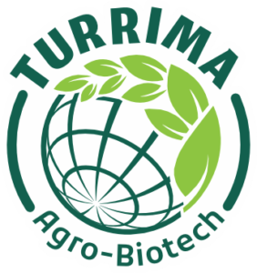 TURRIMA